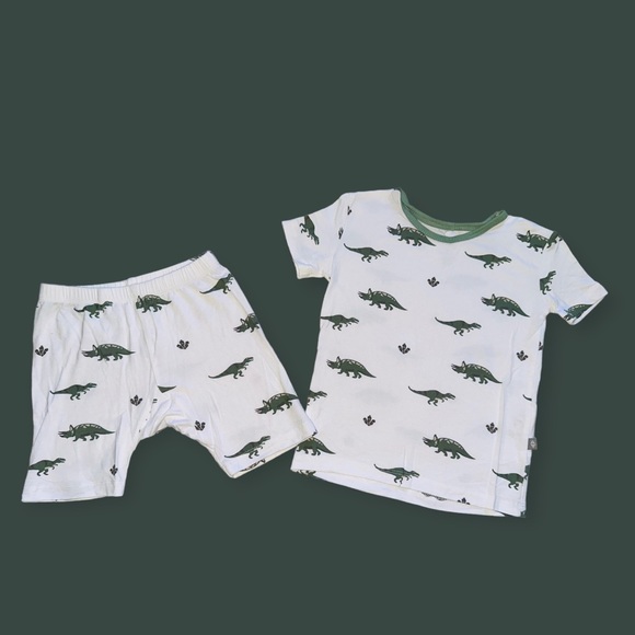 🦖Kyte Set🦖